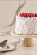 Strawberry Shortcake Overload 9" x 5"